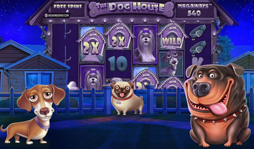 Play Totally free Canine House Megaways Slot, Games Publication and Pro Info
